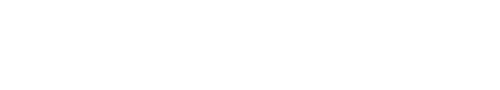 Alternative Text